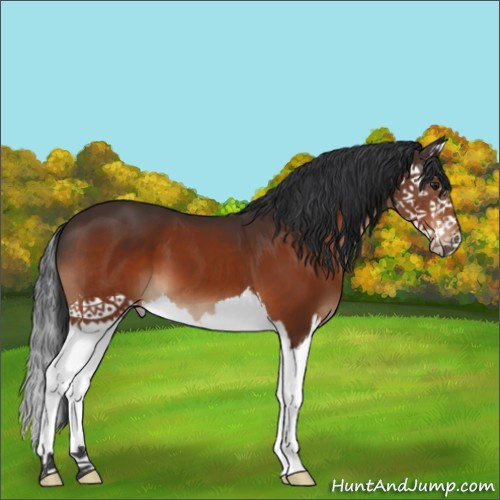 Horse Color:Brown Splash 