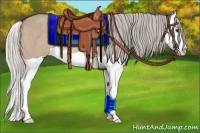 Horse Color:Silver Brown Dun Splash Rabicano