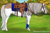 Horse Color:Silver Bay Dun Splash 