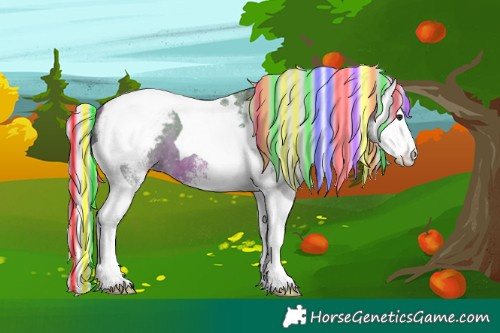 Horse Color:Painted Watercolor White Spotted Silver Bay Splash Tobiano Appaloosa 