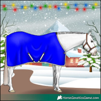 Horse Color:Bay Splash Appaloosa