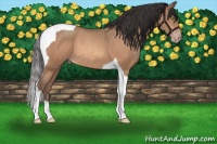 Horse Color:Sable Champagne Tobiano 