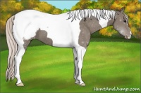 Horse Color:Silver Grullo Tobiano Snowcap 