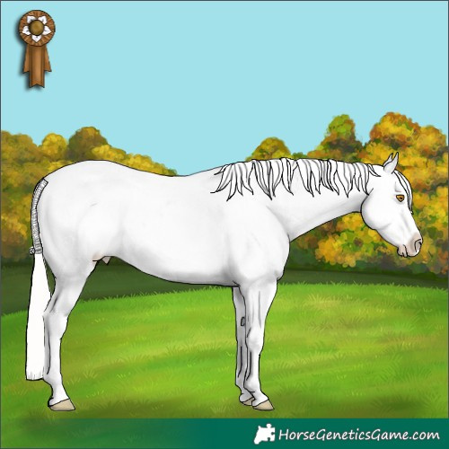 Horse Color:Silver Classic Champagne Tobiano Appaloosa