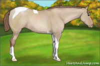 Horse Color:Grullo Pearl Sabino Tobiano Rabicano 