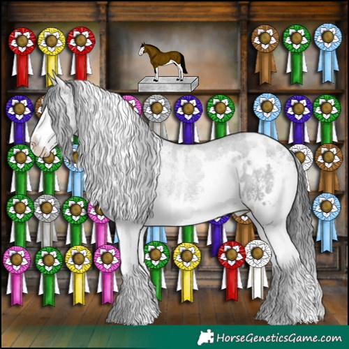 Horse Color:White Spotted Black Splash 