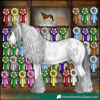Horse Color:White Spotted Black Splash 