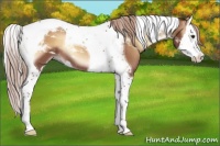 Horse Color:Red Onyx Splash Tobiano