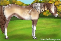 Horse Color:Red Onyx Tobiano 