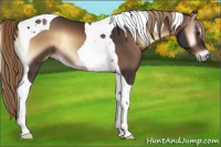Horse Color:Liver Red Onyx Tobiano 