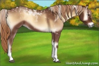 Horse Color:Red Onyx Tobiano