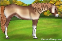 Horse Color:Red Onyx Tobiano Rabicano 