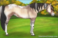 Horse Color:Bay Roan Onyx Tobiano 