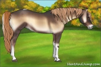 Horse Color:Liver Red Onyx Roan Tobiano 