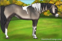 Horse Color:Blue Onyx Tobiano 