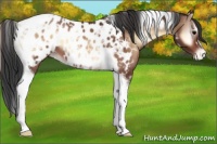 Horse Color:Bay Onyx Tobiano Near Leopard 