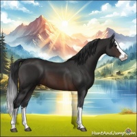 Horse Color:Brown Sabino Splash 