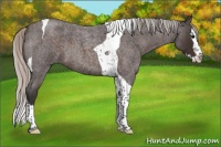 Horse Color:Silver Brown Roan Splash Tobiano 