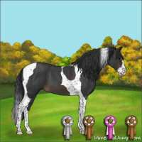 Horse Color:Brown Roan Splash Tobiano 