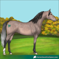 Horse Color:Platinum Bay 