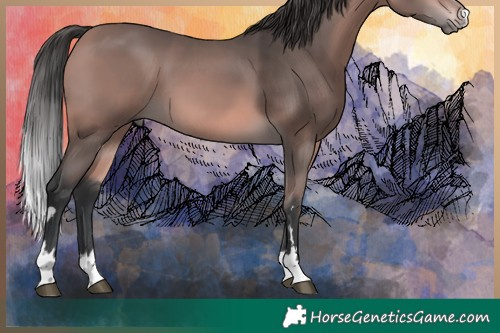 Horse Color:Platinum Bay