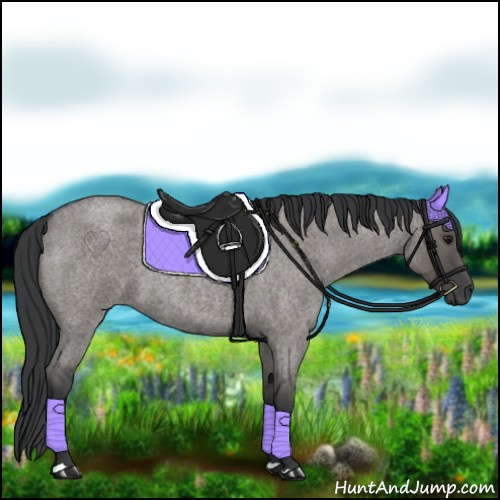 Horse Color:Grullo Roan