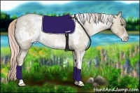 Horse Color:White Spotted Chocolate Palomino Roan Pearl Dun Frame