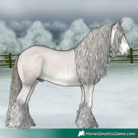 Horse Color:Gray White Spotted Liver Red Dun Mushroom Varnish 