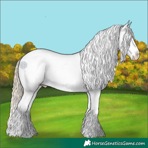 Horse Color:White Spotted Chocolate Palomino Dun Appaloosa 