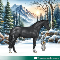 Horse Color:Black 