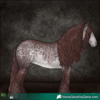 Horse Color:Platinum Chocolate Buckskin 