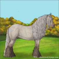 Horse Color:Silver Grullo Roan 