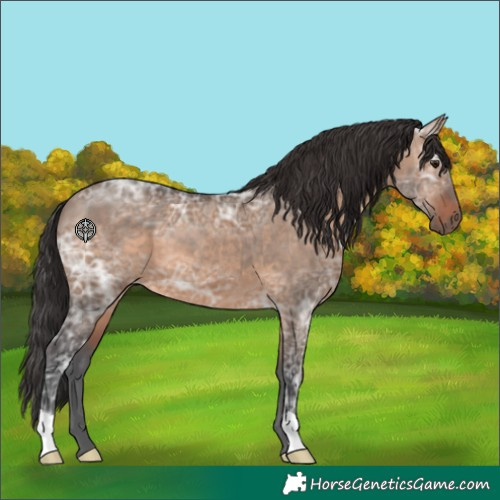 Horse Color:Brown Ice Dun