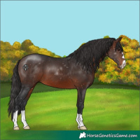 Horse Color:Brown 
