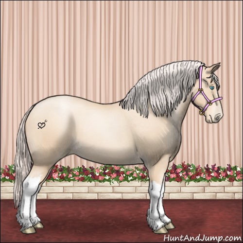 Horse Color:Silver Sable Cream Champagne Pearl