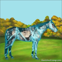 Horse Color:Void Thunderstruck Bay Ice Onyx Tobiano Varnish 