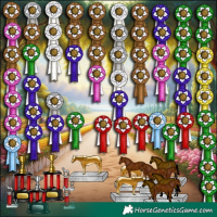 Horse Color:White Spotted Brown Dun Rabicano 