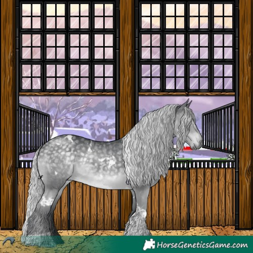 Horse Color:White Spotted Silver Black Chinchilla Tobiano 