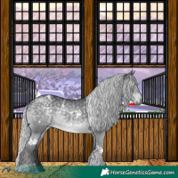 Horse Color:White Spotted Silver Black Chinchilla Tobiano