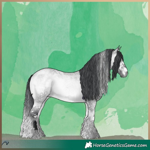 Horse Color:White Spotted Brown Chinchilla Roan Onyx