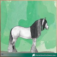 Horse Color:White Spotted Brown Chinchilla Roan Onyx