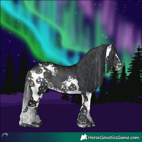 Horse Color:White Spotted Midnight Brown Chinchilla Onyx