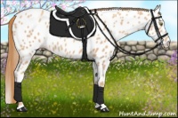 Horse Color:Gold Champagne Roan Near Leopard 