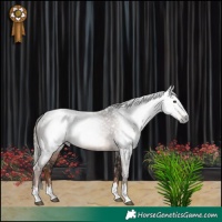 Horse Color:Gray Liver Chestnut Mushroom