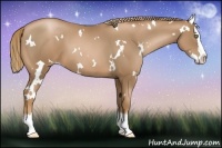 Horse Color:White Spotted Liver Chestnut Pearl Splash 