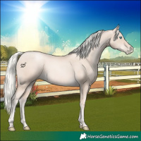 Horse Color:Gold Cream Champagne Pearl 