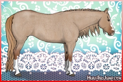 Horse Color:Red Dun Roan Splash Frame Rabicano