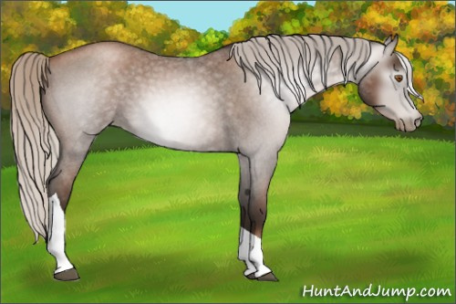 Horse Color:Gray Silver Blue Roan Pearl Tobiano 