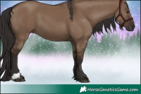Horse Color:Liver Red Dun 