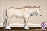 Horse Color:White Spotted Silver Buckskin Pearl Dun Splash 
